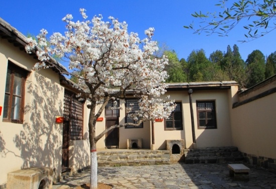 1748425604826924.jpg 2.jpg